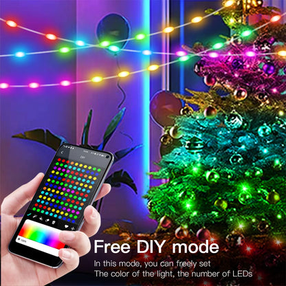 DreamColor Bluetooth LED String Lights